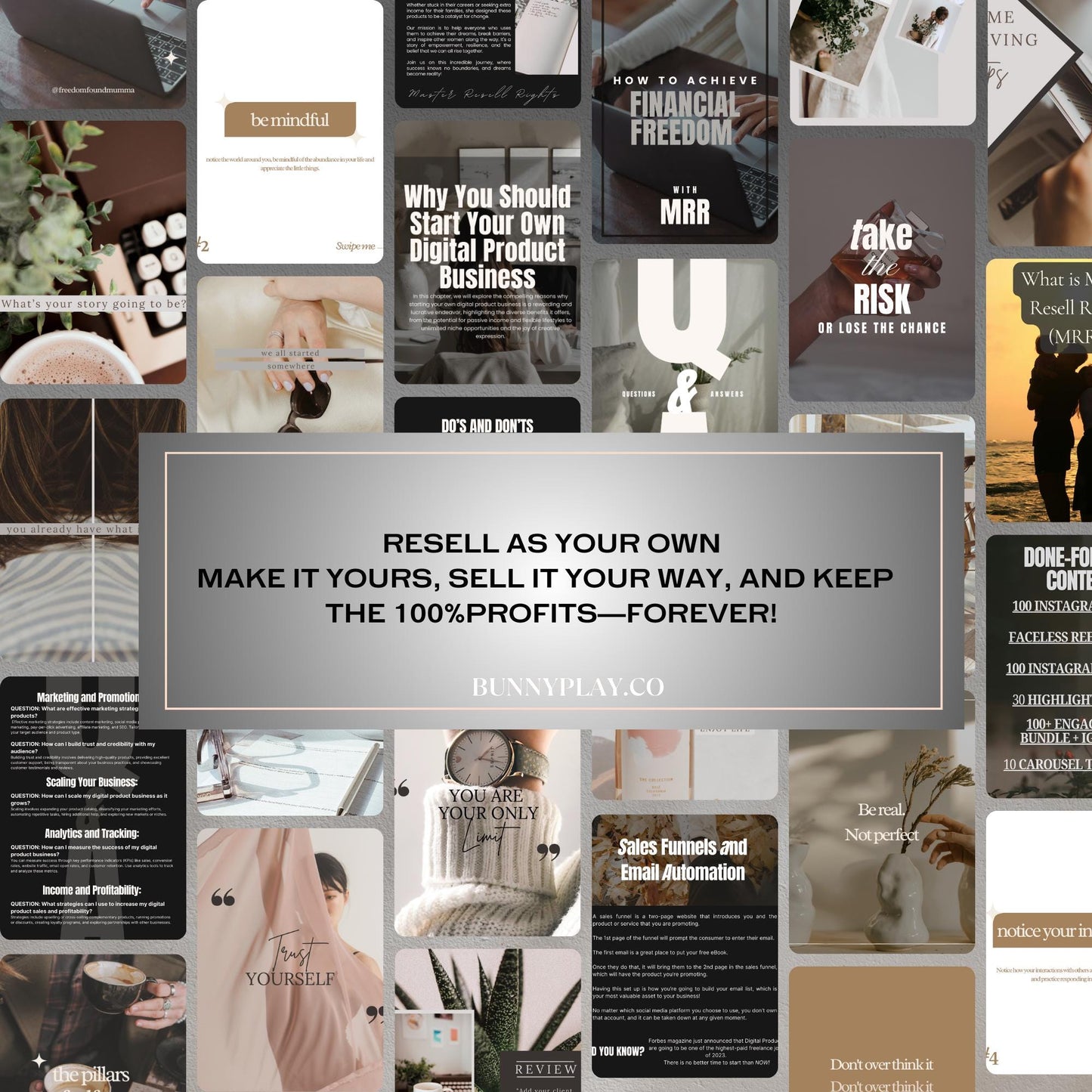 Financial Freedom [ Done-For-You ] Blueprint/ Ebook + PLR & MRR | Start Earning Passive Income Now + 2000+ BONUS Aesthetic Videos